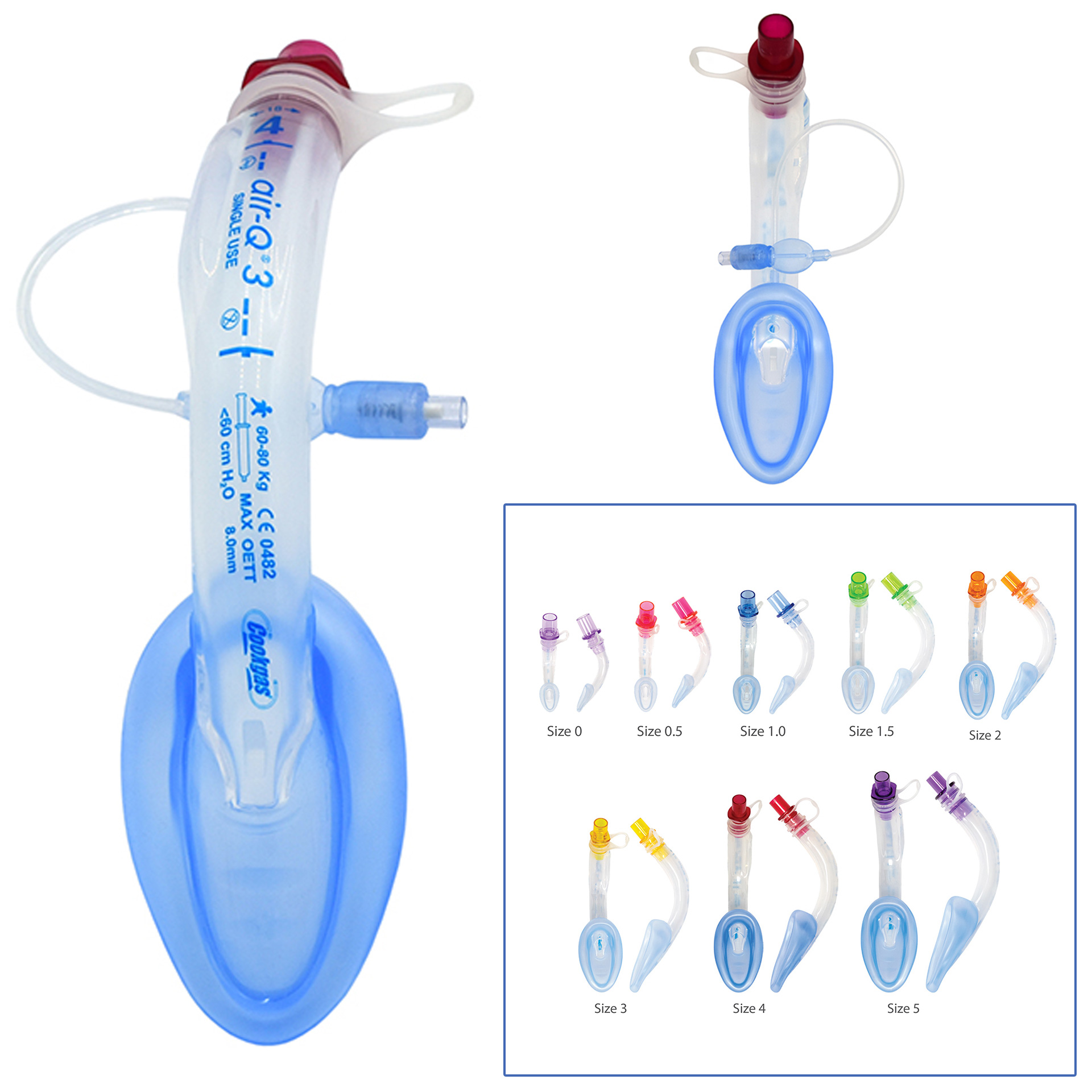  - Intubating Laryngeal Airway/LMA